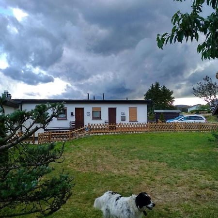 Haus Panoramablick Villa Medebach Exteriör bild