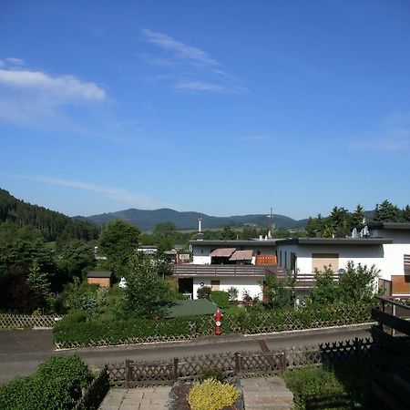 Haus Panoramablick Villa Medebach Exteriör bild