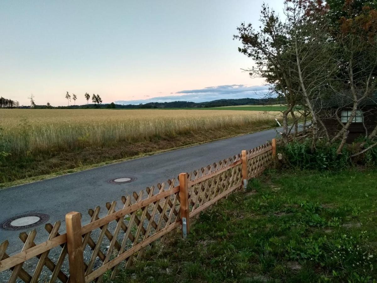 Haus Panoramablick Villa Medebach Exteriör bild
