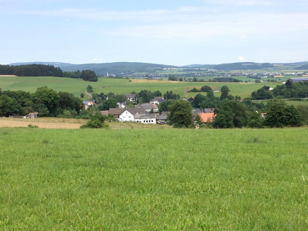 Haus Panoramablick Villa Medebach Exteriör bild